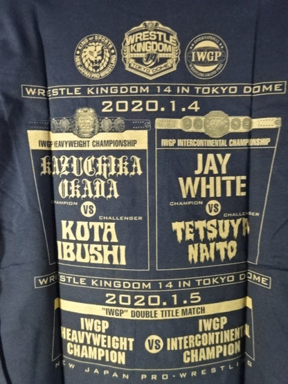 WK14 IWGP/IC Double Fighters Championship Match Picture T-Shirt