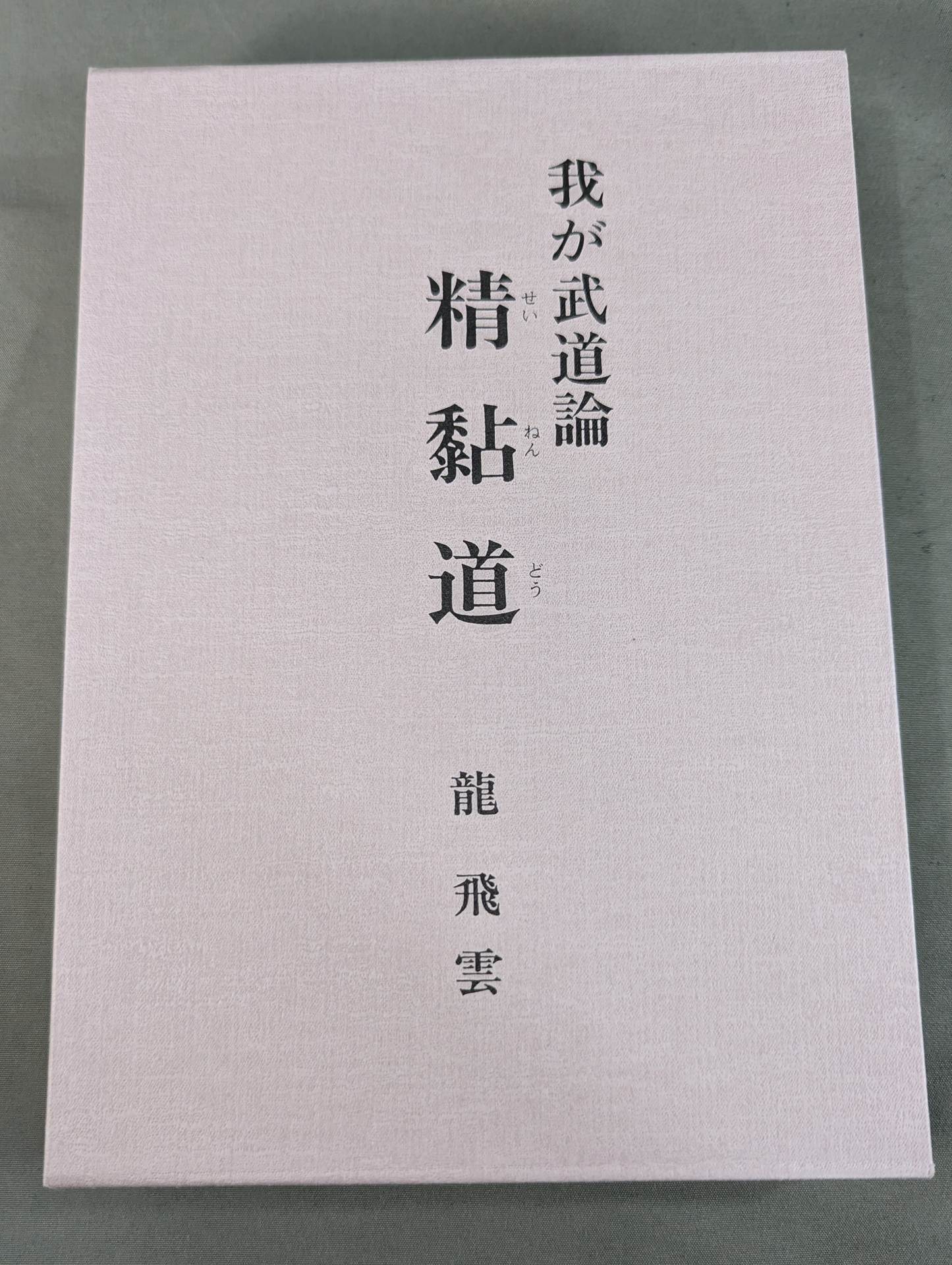 My Martial Arts Theory Seinendo