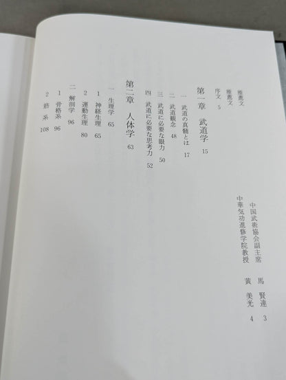 My Martial Arts Theory Seinendo