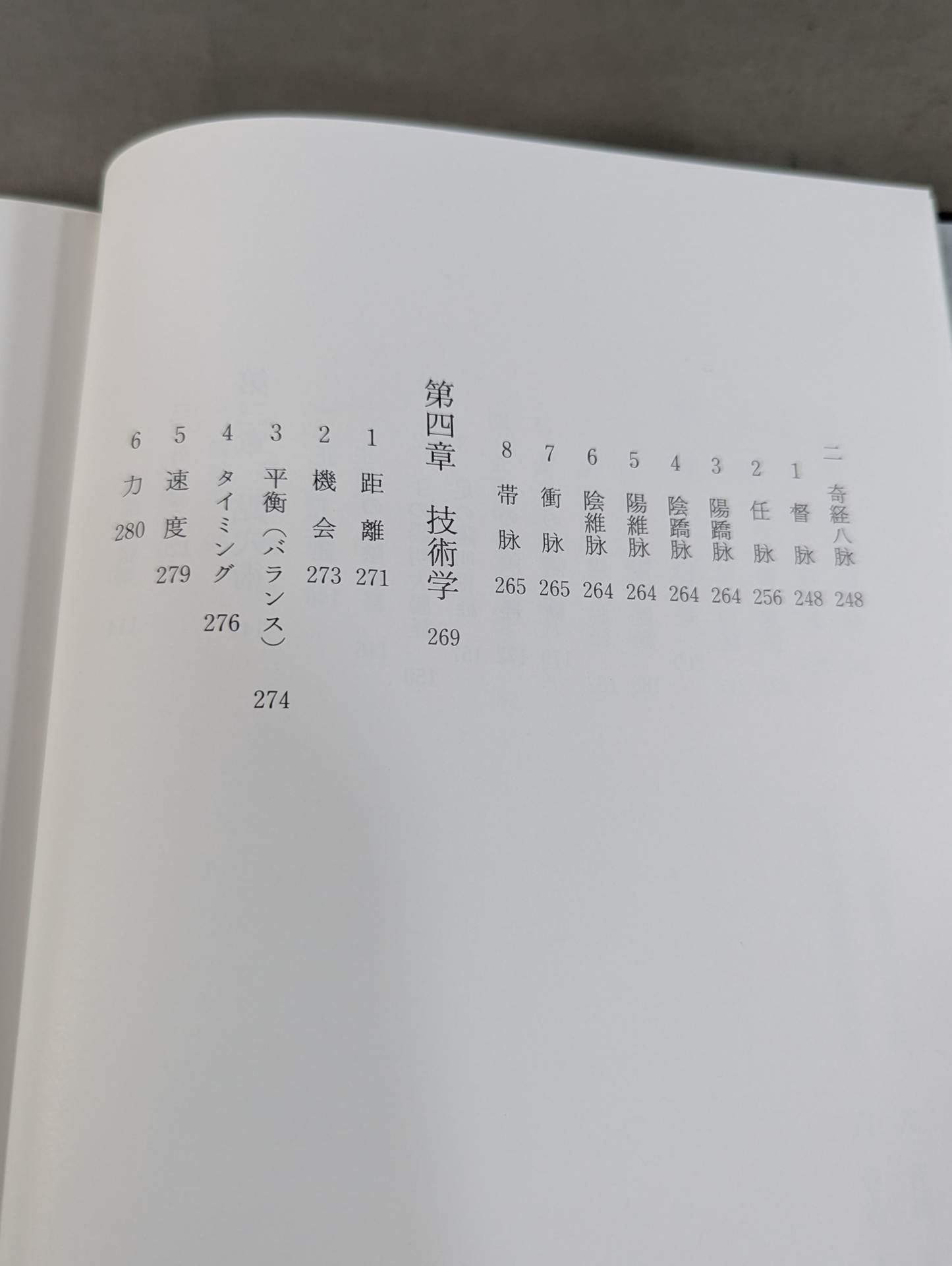 My Martial Arts Theory Seinendo