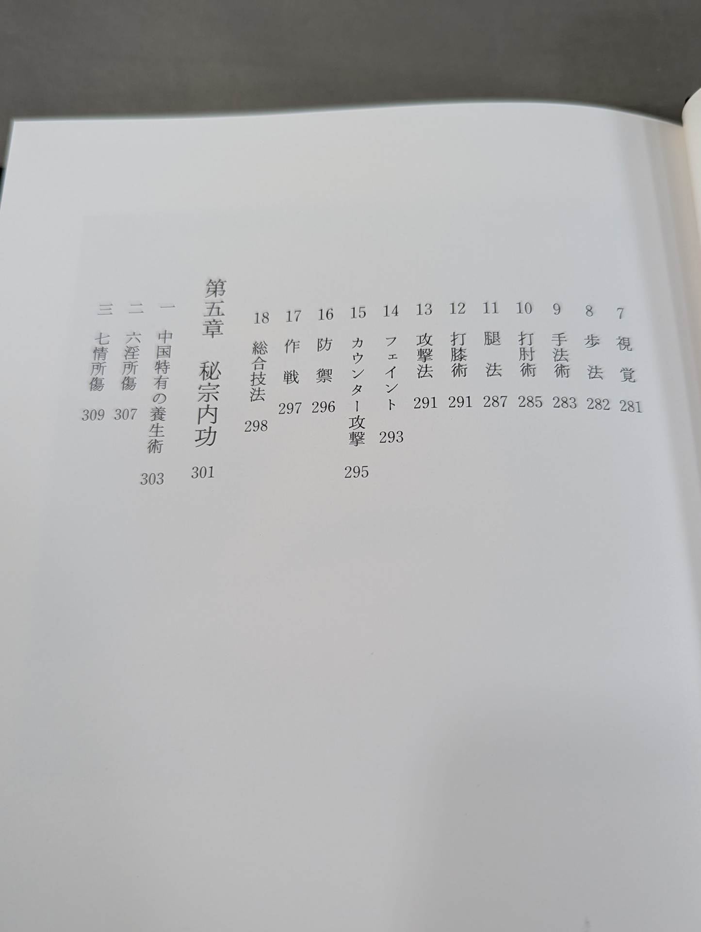 My Martial Arts Theory Seinendo