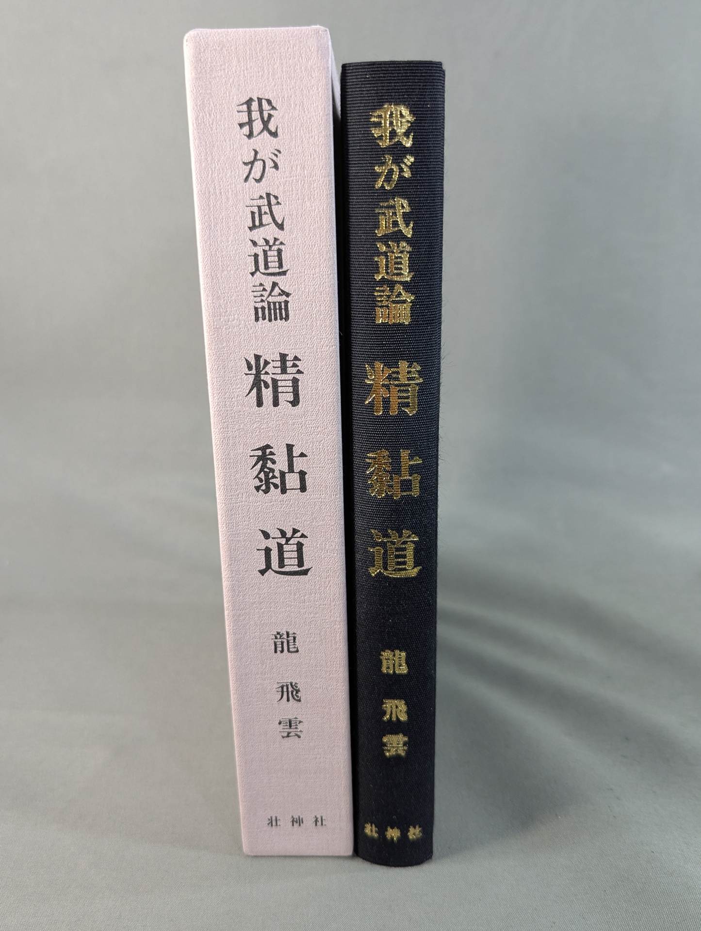 My Martial Arts Theory Seinendo