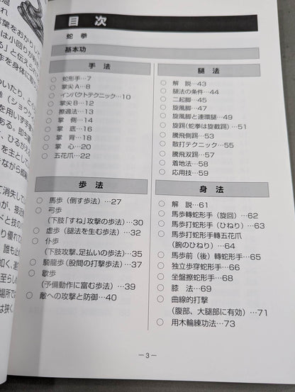 中国拳法 眼鏡王蛇 the king cobra