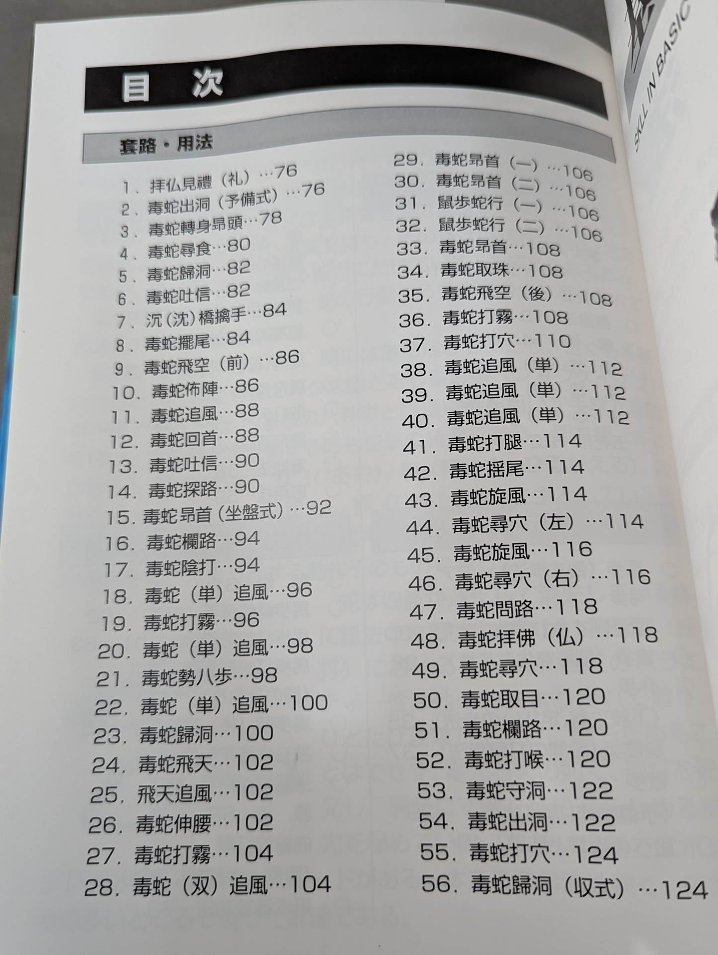 中国拳法 眼鏡王蛇 the king cobra