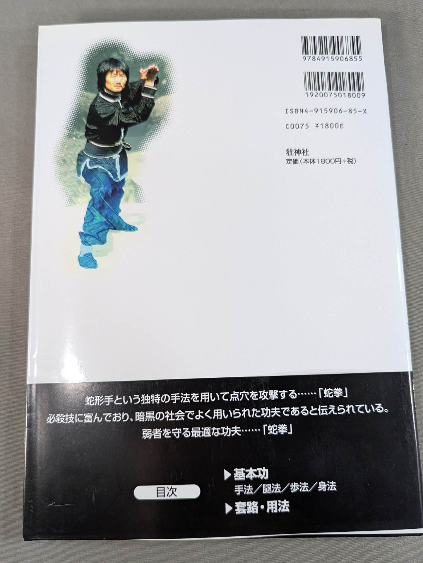 中国拳法 眼鏡王蛇 the king cobra