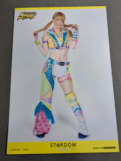 【With purchase bonus】Stardom FANBOOK / STARDOM FANBOOK