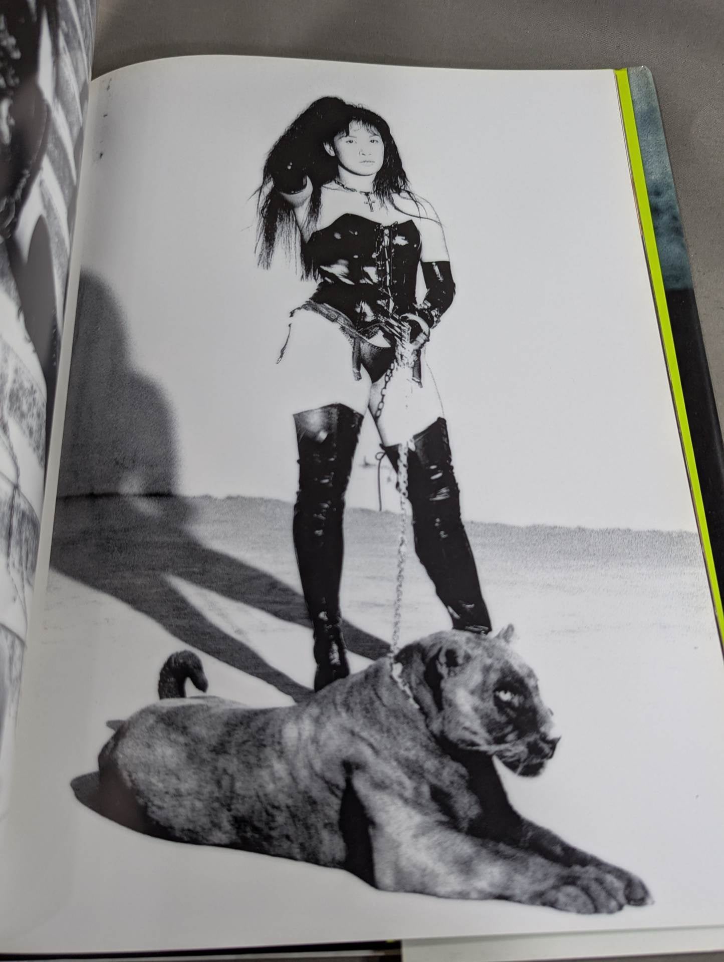 【hand signed autograph】 Manami Toyota photo collection B.Bomb