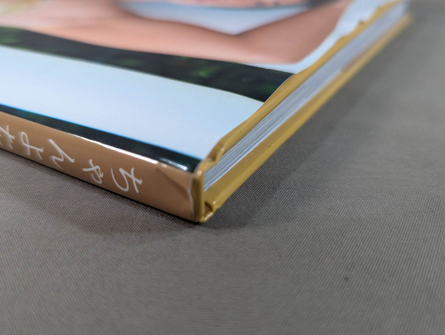 Chanyota photo collection "Attractive muscle ~Attractive Muscle~"