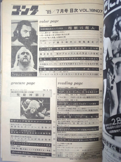 月刊ゴングVol.18 No.7
