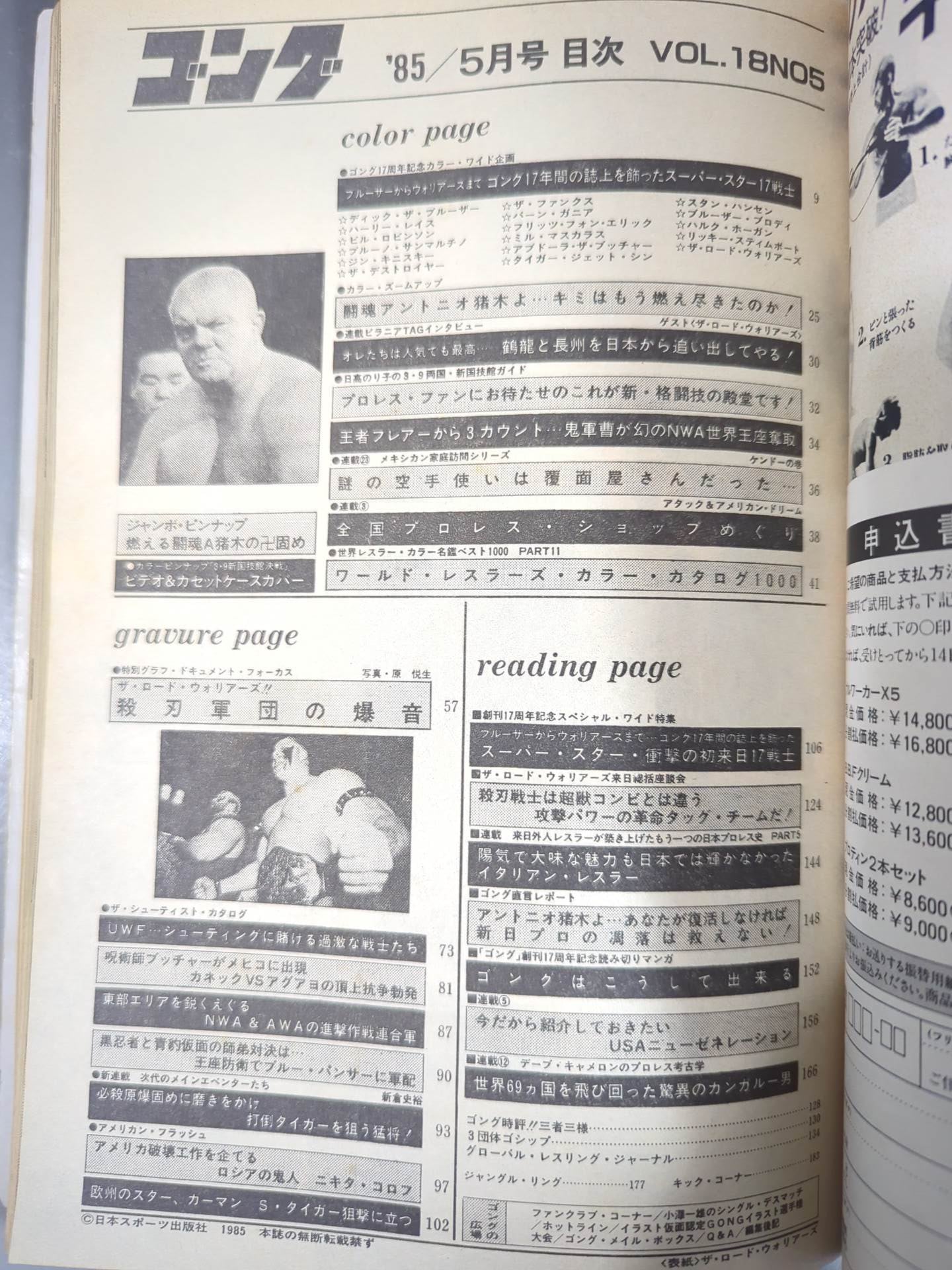 月刊ゴングVol.18 No.5