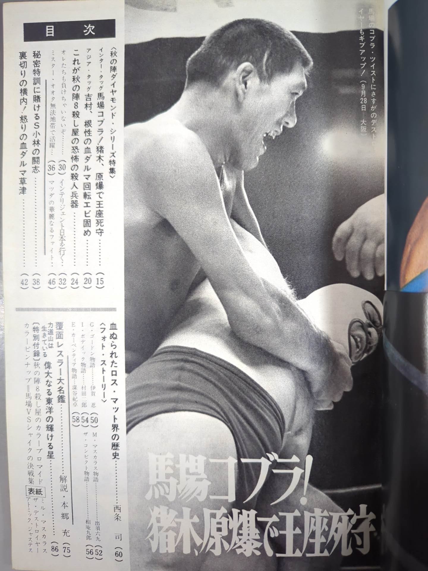 月刊ゴングVol.2 No.15増刊