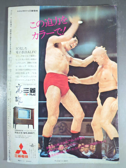 月刊ゴングVol.2 No.15増刊