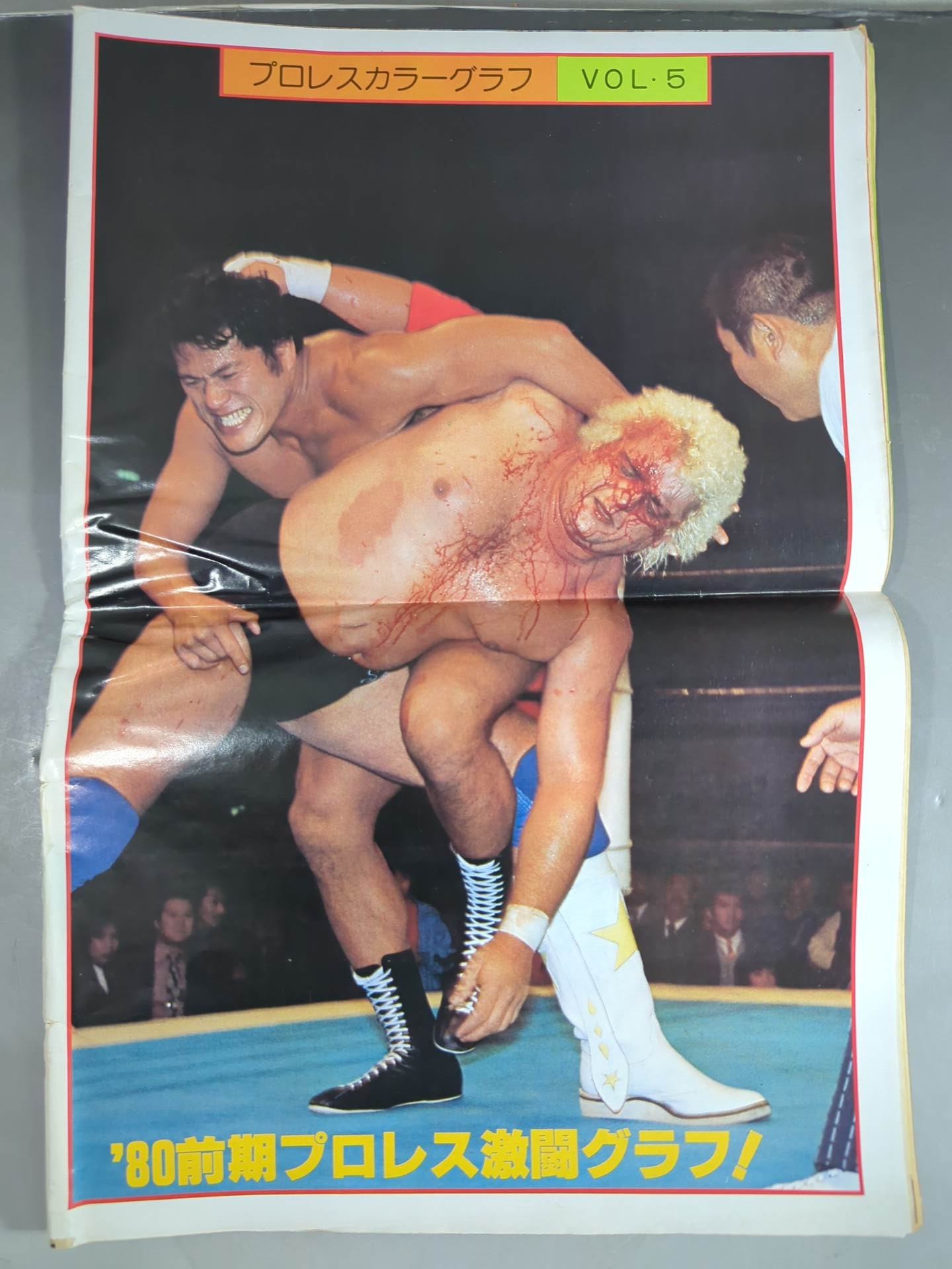 【東京スポーツ】プロレスカラーグラフ Vol.5