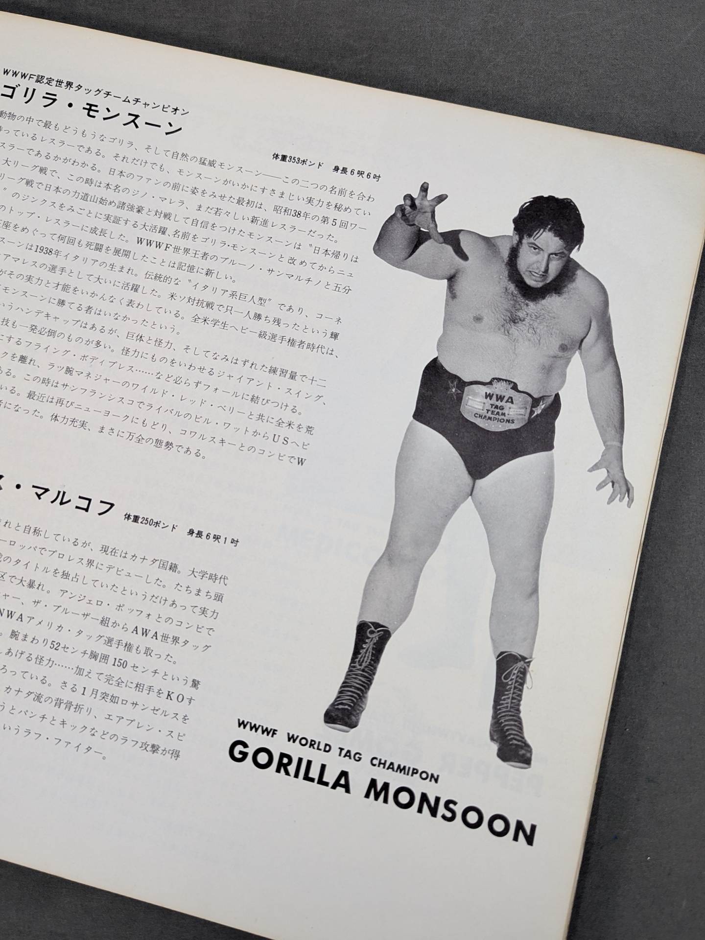 69 11th World League Match