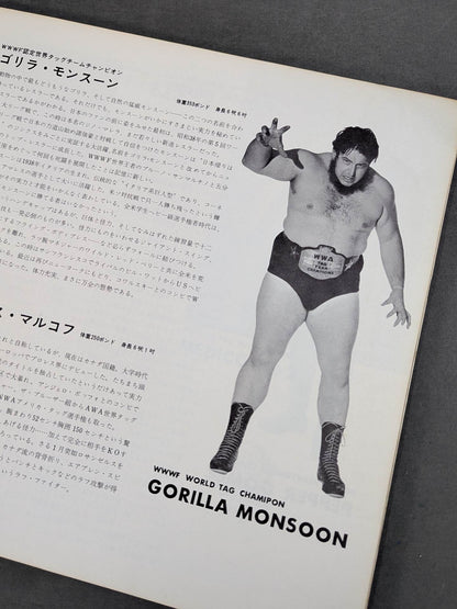 69 11th World League Match