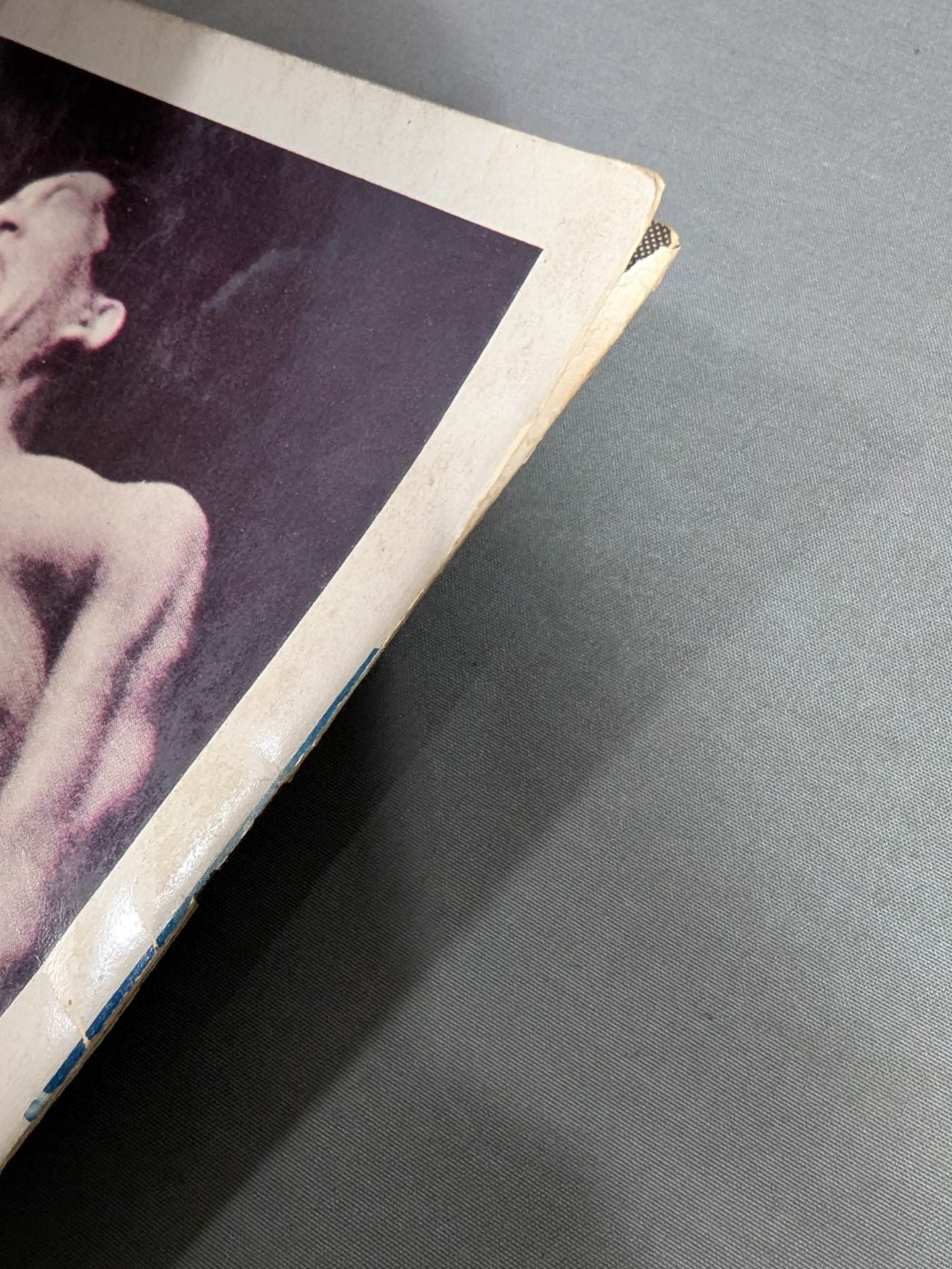 69 11th World League Match