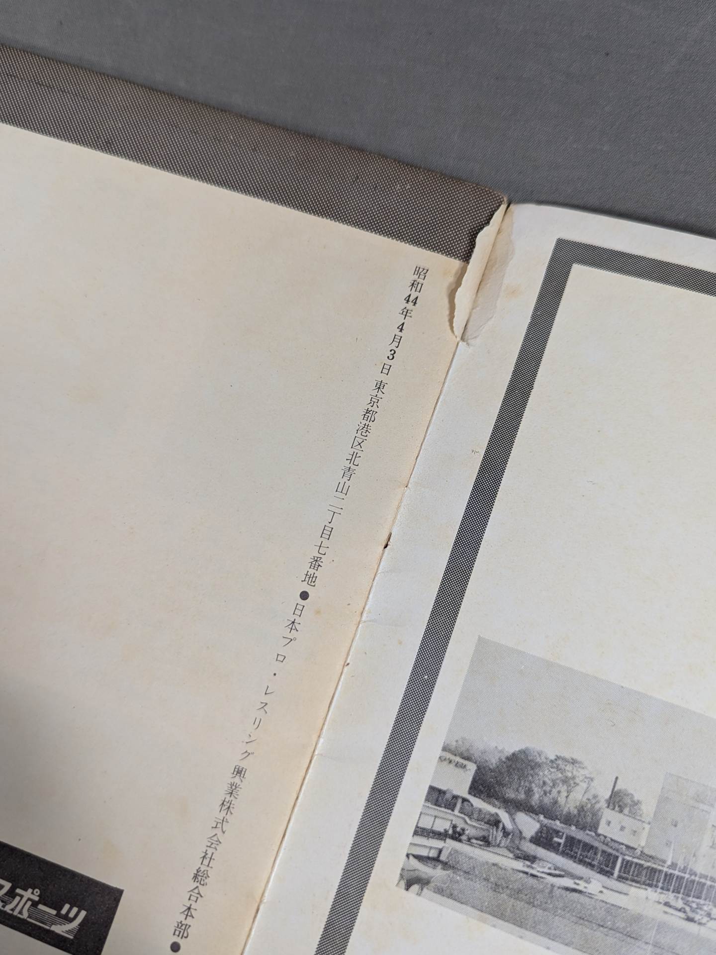 69 11th World League Match