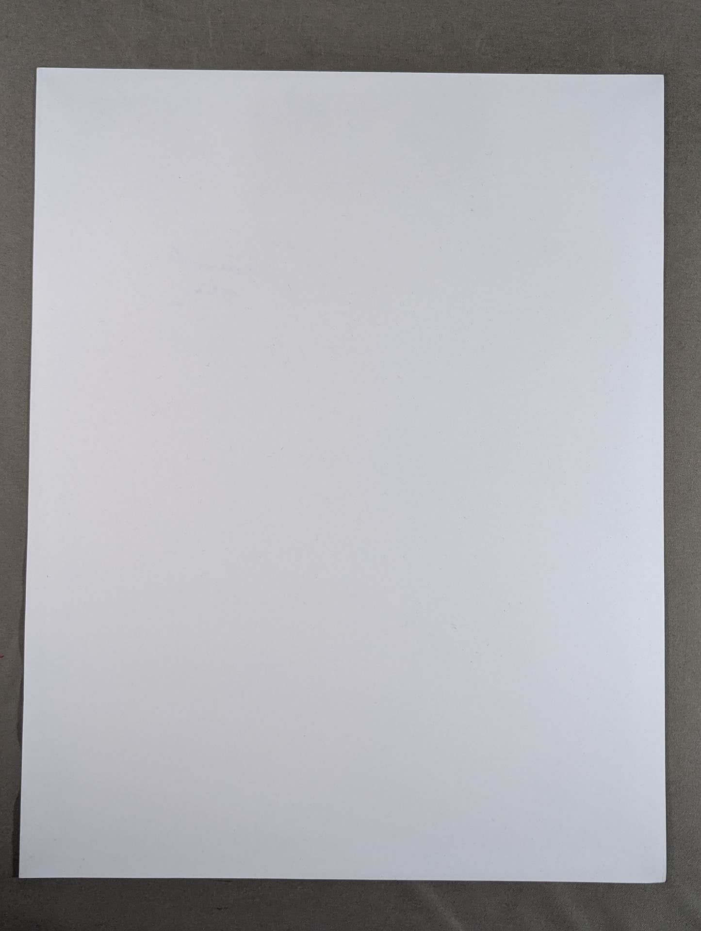 Dynamite Kid Hand Signed Autograph  Large Format Pro-Photo 