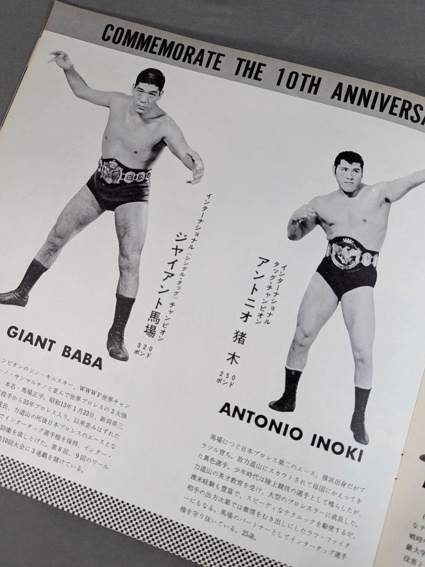 68第10回ワールド大リーグ戦 / Wリーグ戦制定10周年 – 闘道館