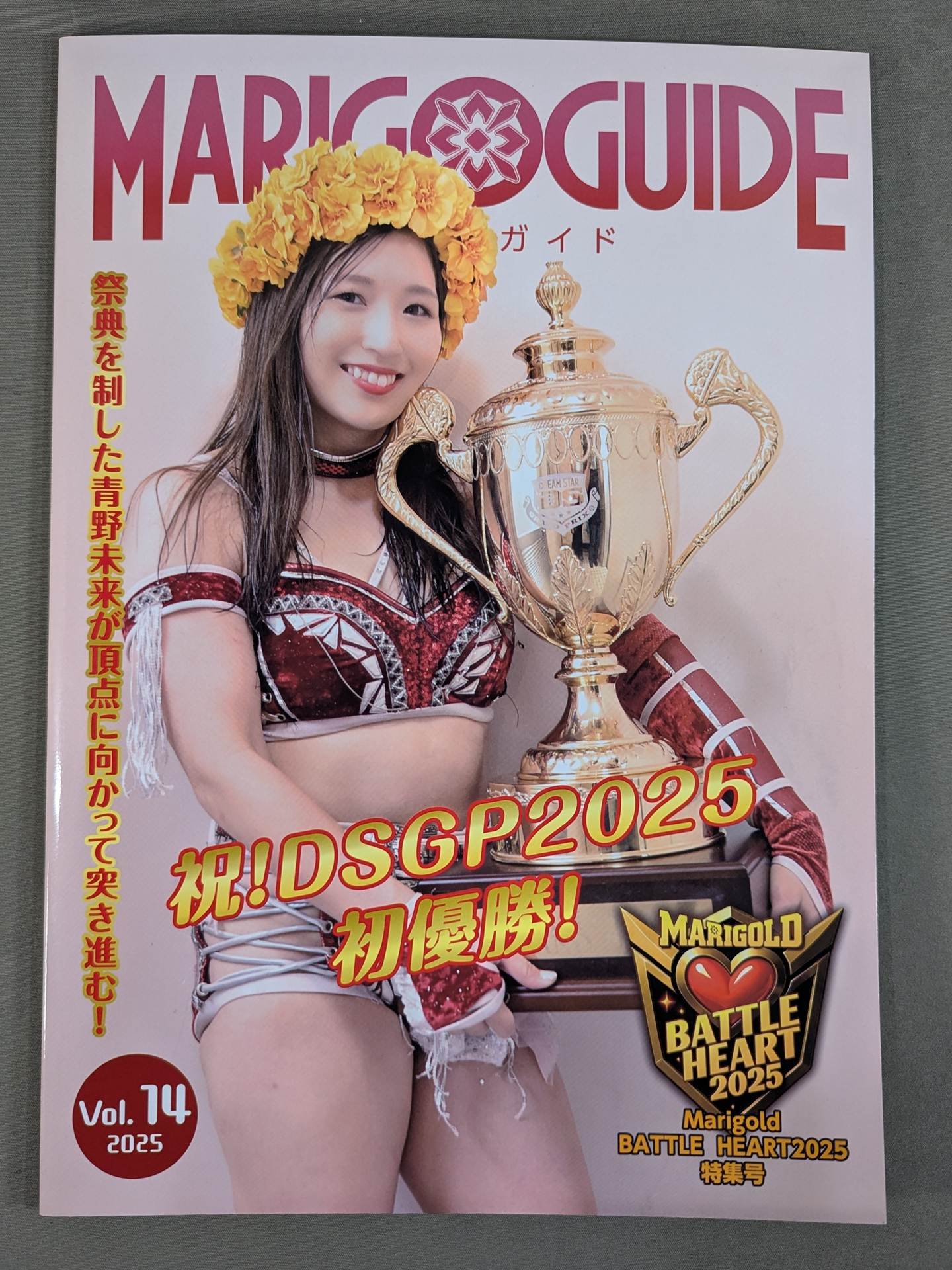 MARIGOLD GUIDE BOOK Vol.14