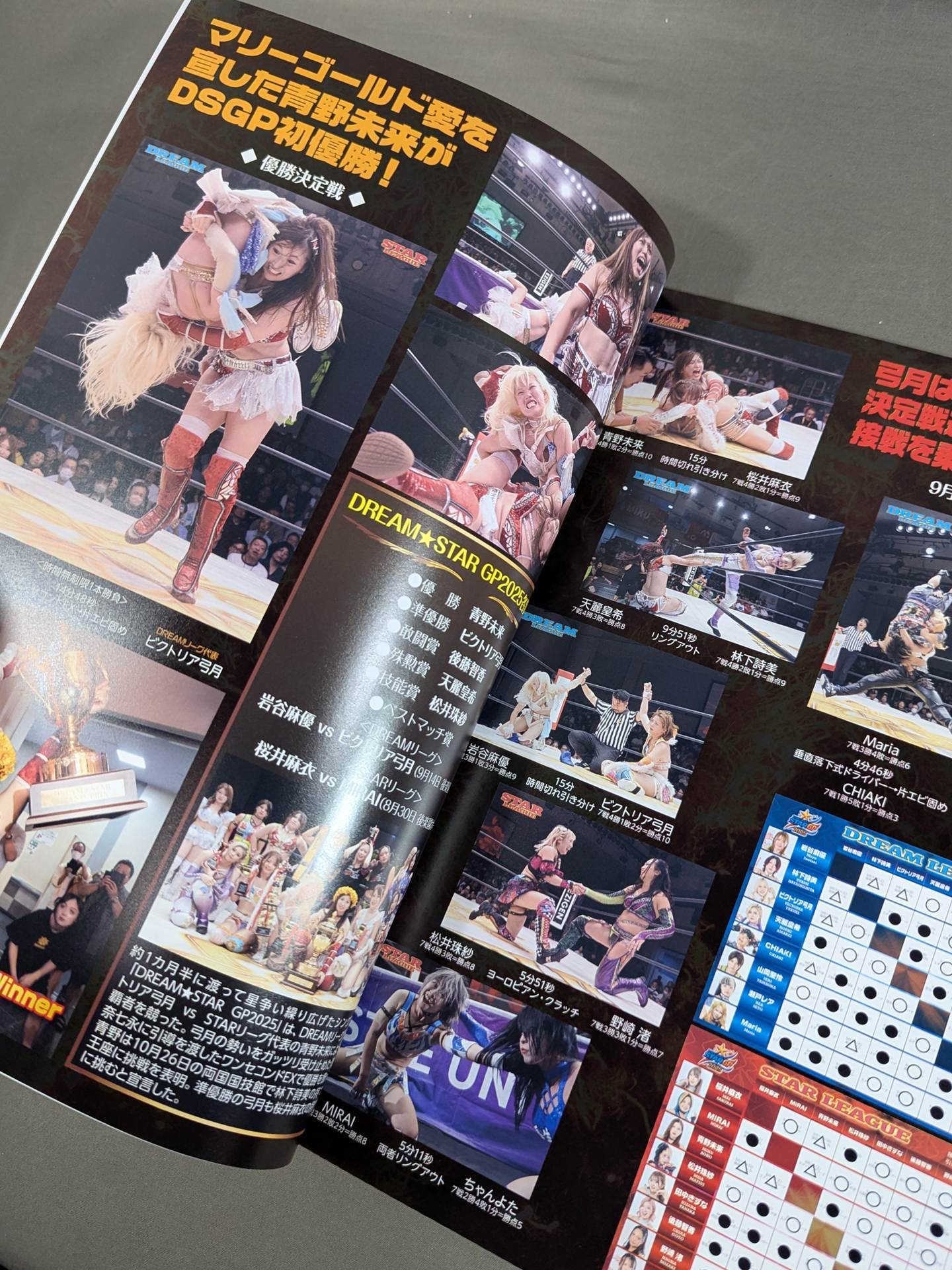 マリーゴールド / MARIGOLD GUIDE BOOK Vol.14 – 闘道館