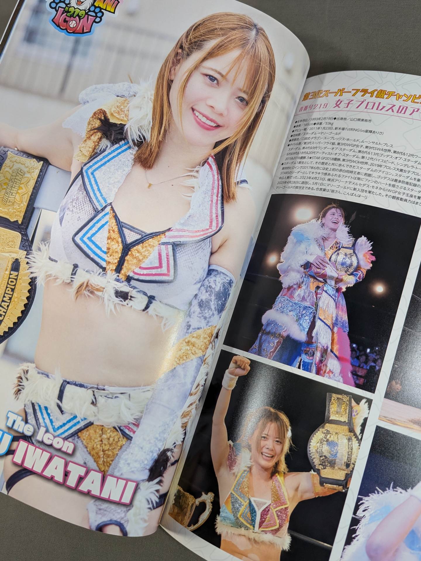 MARIGOLD GUIDE BOOK Vol.14