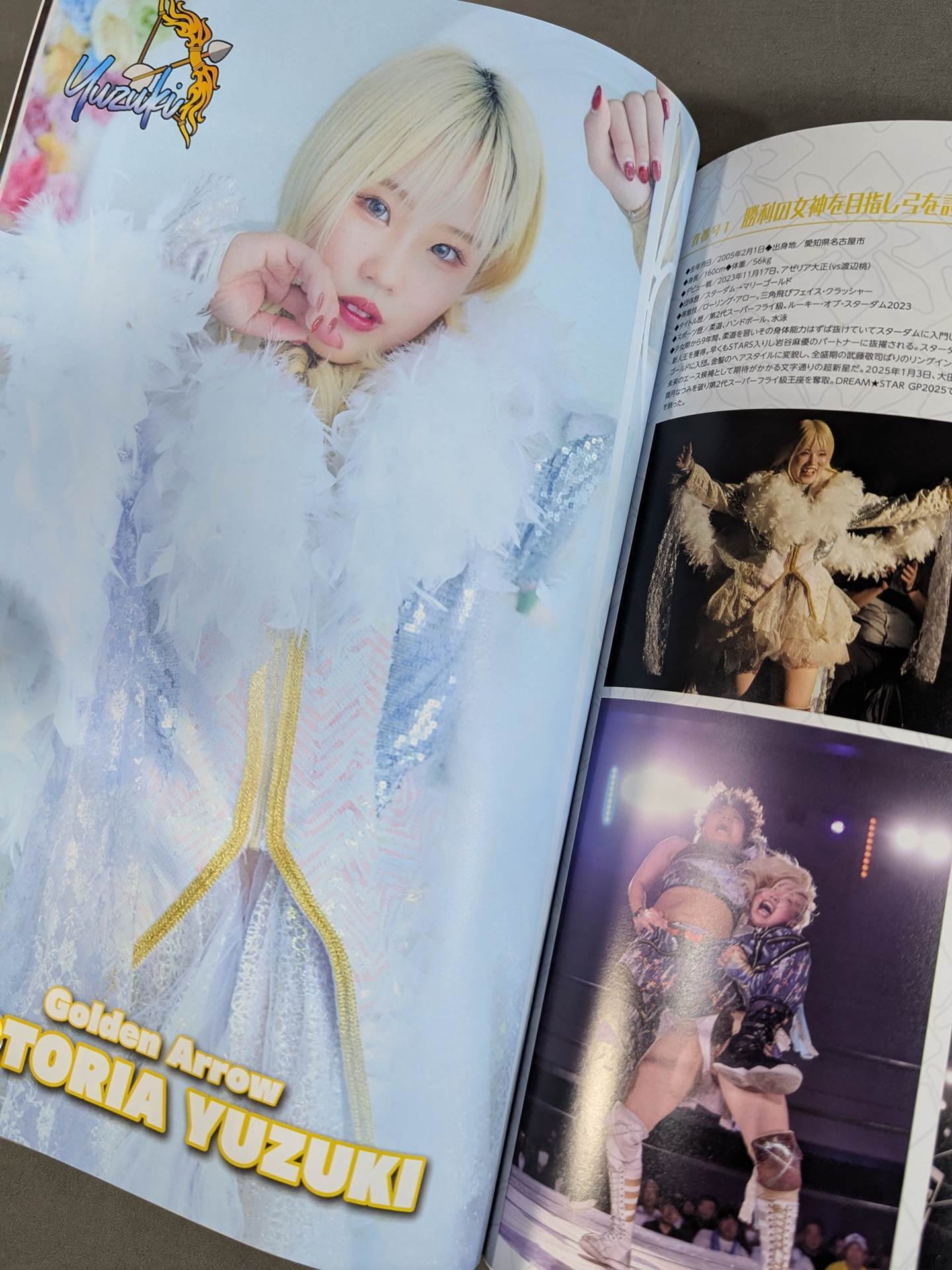 マリーゴールド / MARIGOLD GUIDE BOOK Vol.14 – 闘道館