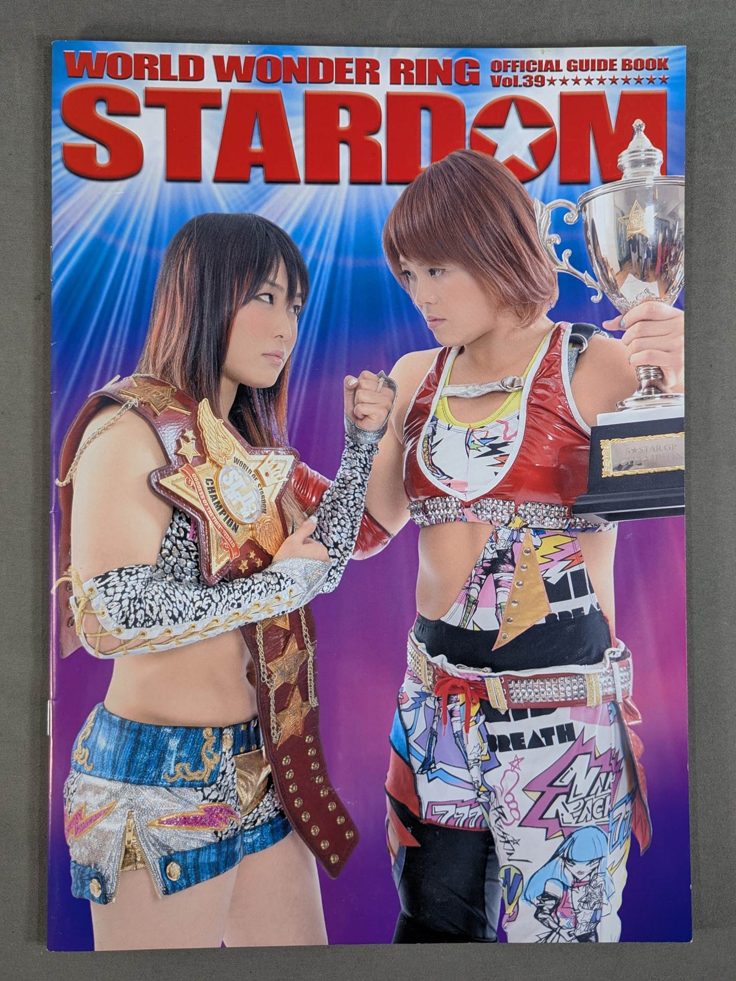 STARDOM OFFICIAL GUIDE BOOK Vol.39