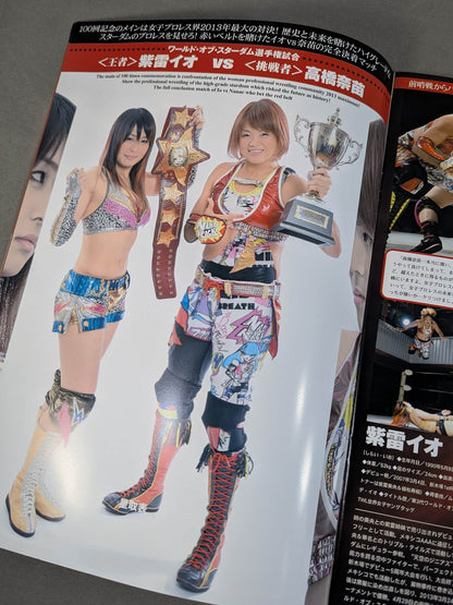 STARDOM OFFICIAL GUIDE BOOK Vol.39