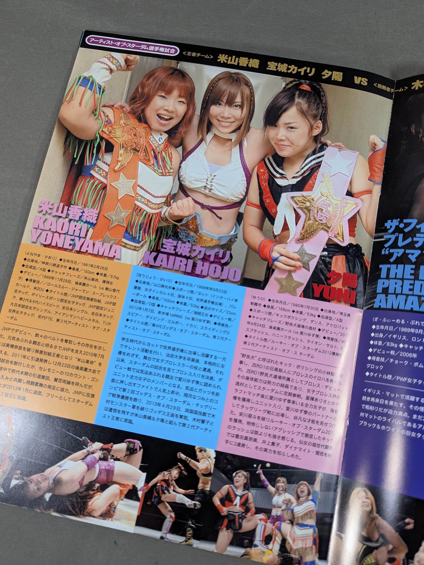 STARDOM OFFICIAL GUIDE BOOK Vol.39