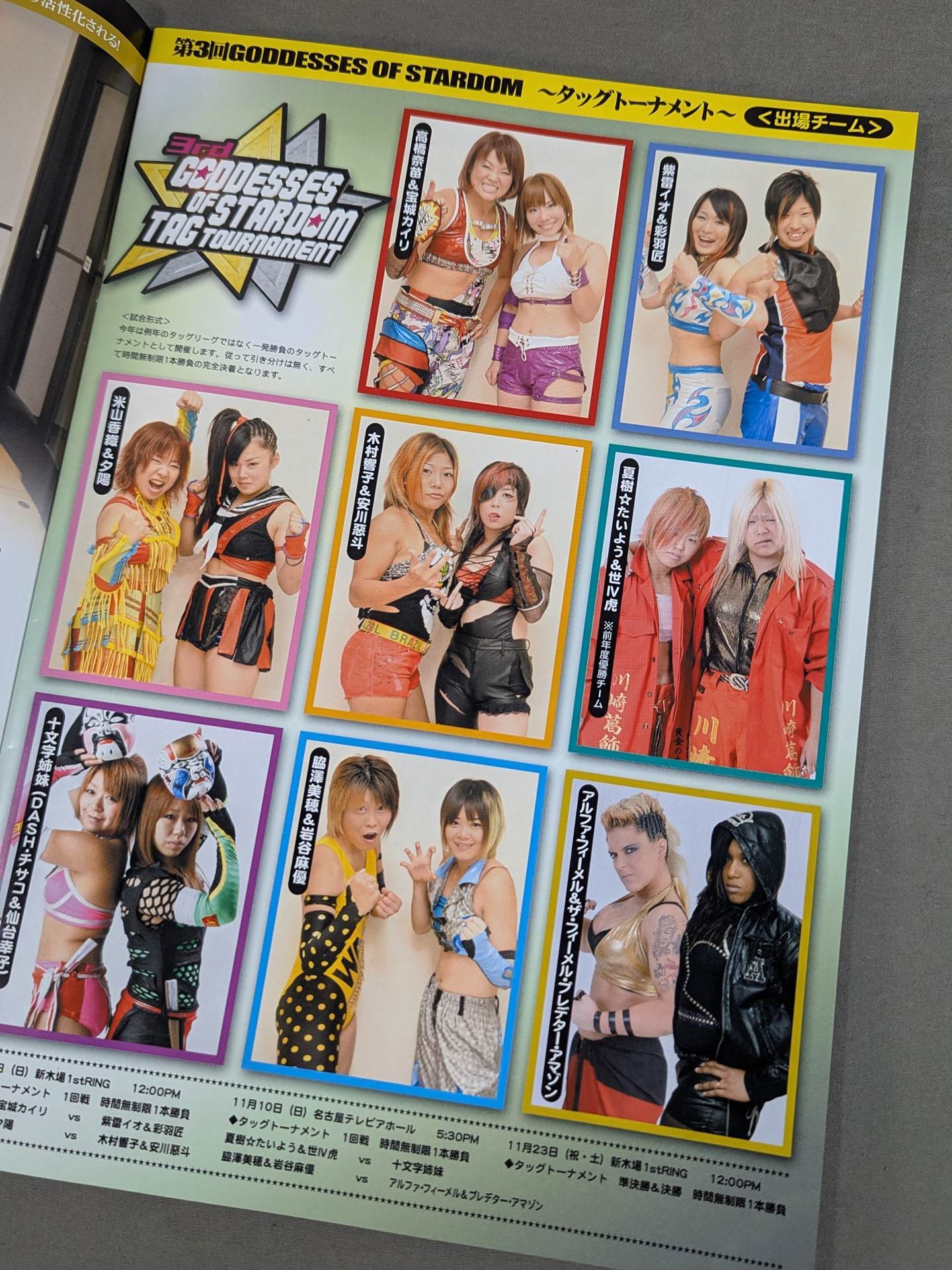 STARDOM OFFICIAL GUIDE BOOK Vol.38