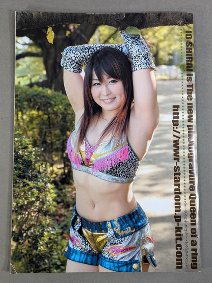 STARDOM OFFICIAL GUIDE BOOK Vol.38
