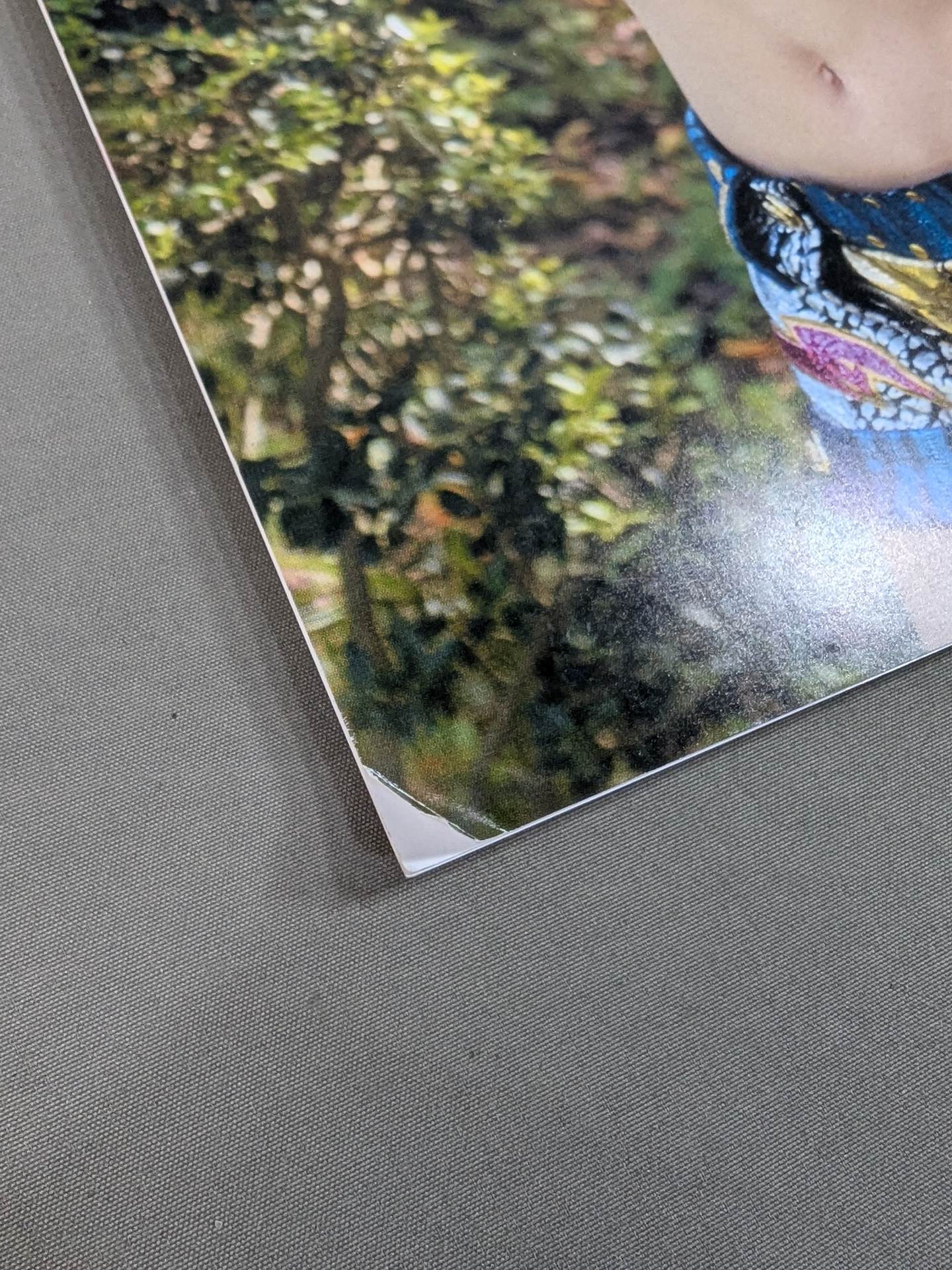 STARDOM OFFICIAL GUIDE BOOK Vol.38