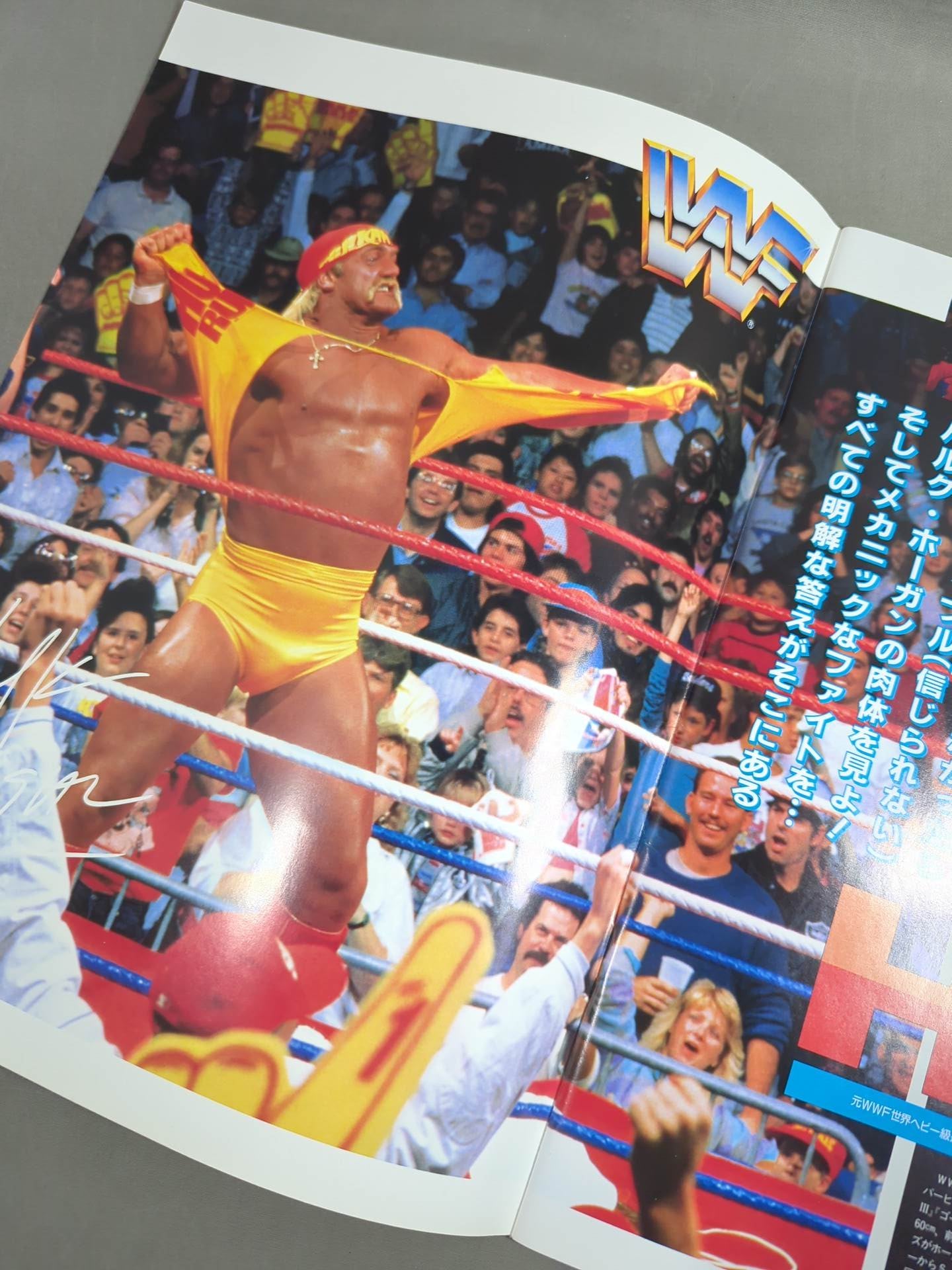 SWS / レッスル・フェスト IN TOKYO DOME