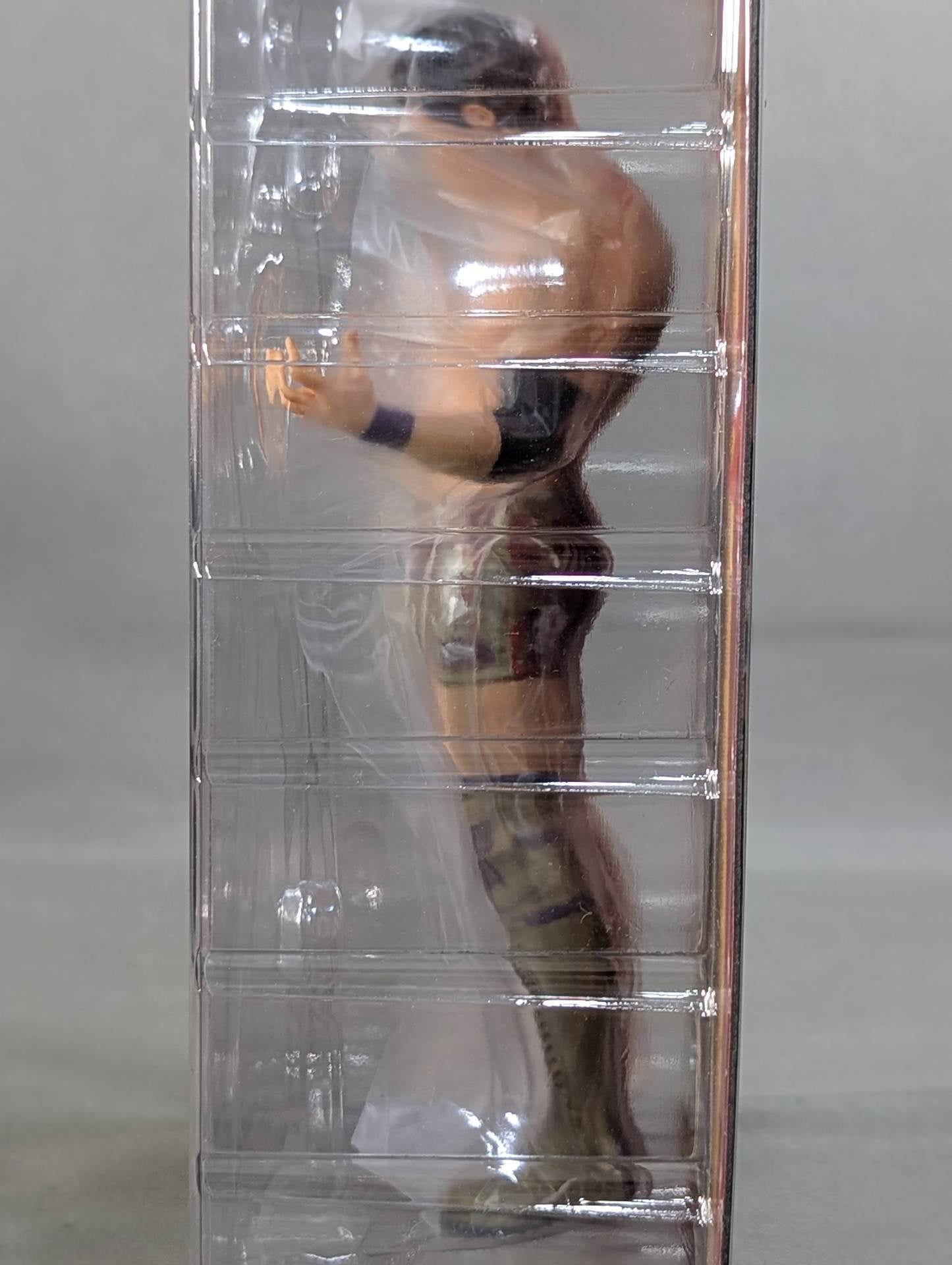 オカダ・カズチカ(黒髪)