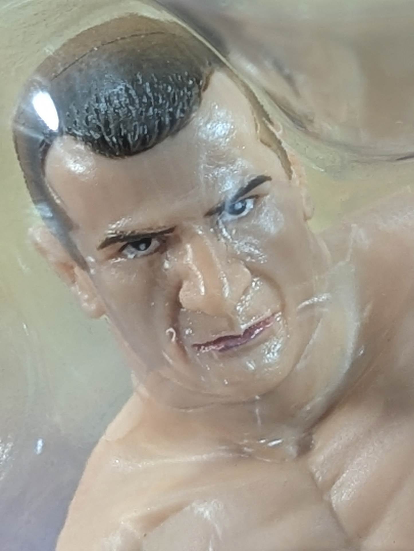 ミルコ・クロコップ(リアル・左ハイキック)