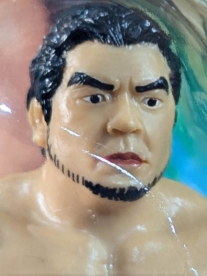 ★武藤敬司デビュー20周年★ 武藤敬司＆三沢光晴【2004.10.31】