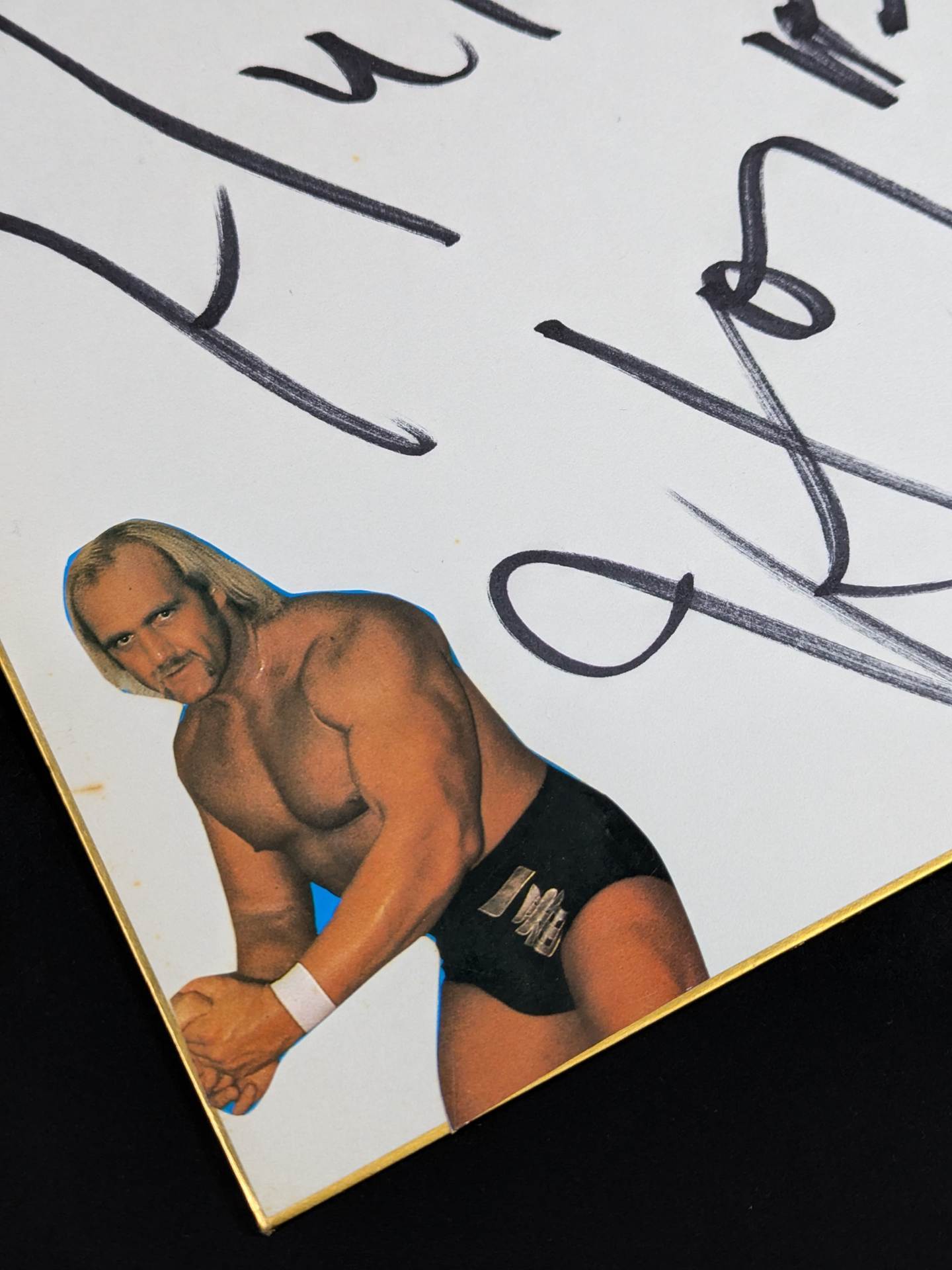 ハルク・ホーガン(切り抜き貼付)