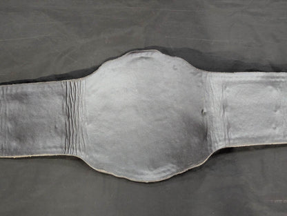 WRESTLE-1チャンピオンシップベルト