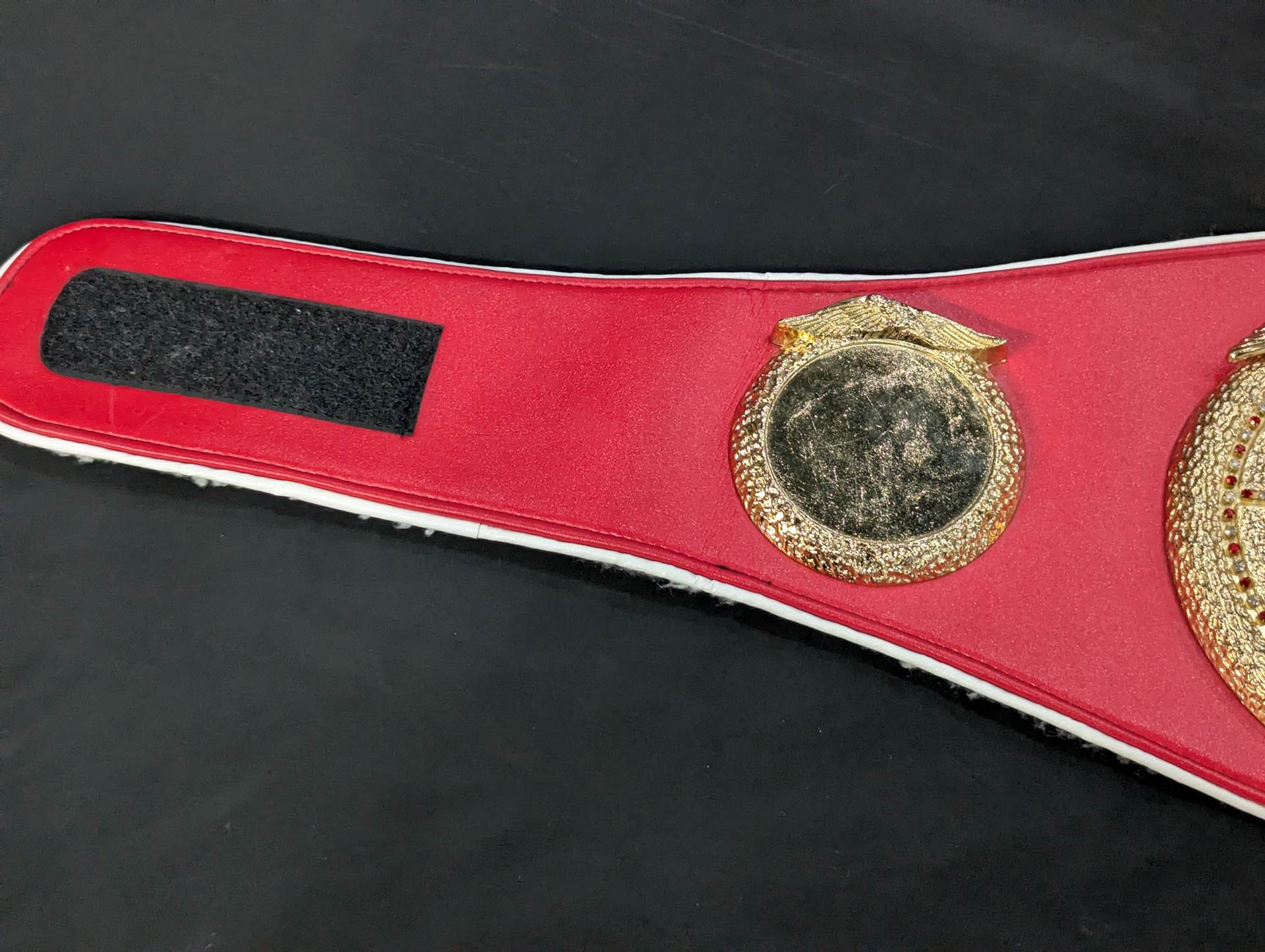 IBF世界王座チャンピオンベルト – 闘道館