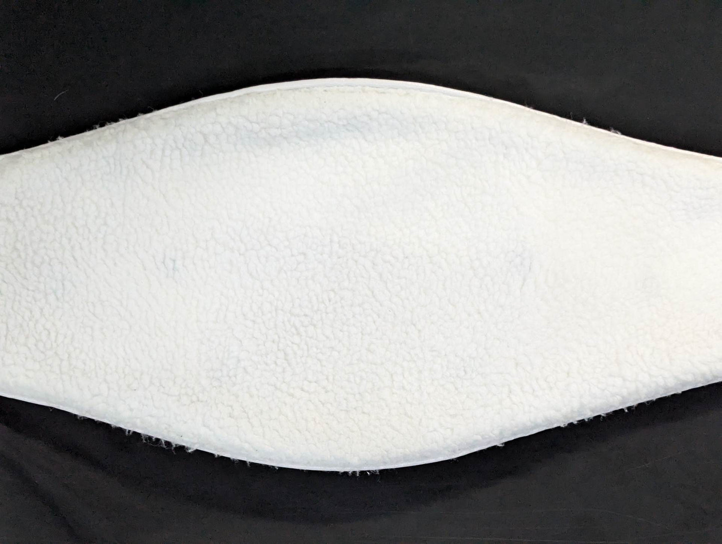 IBF世界王座チャンピオンベルト