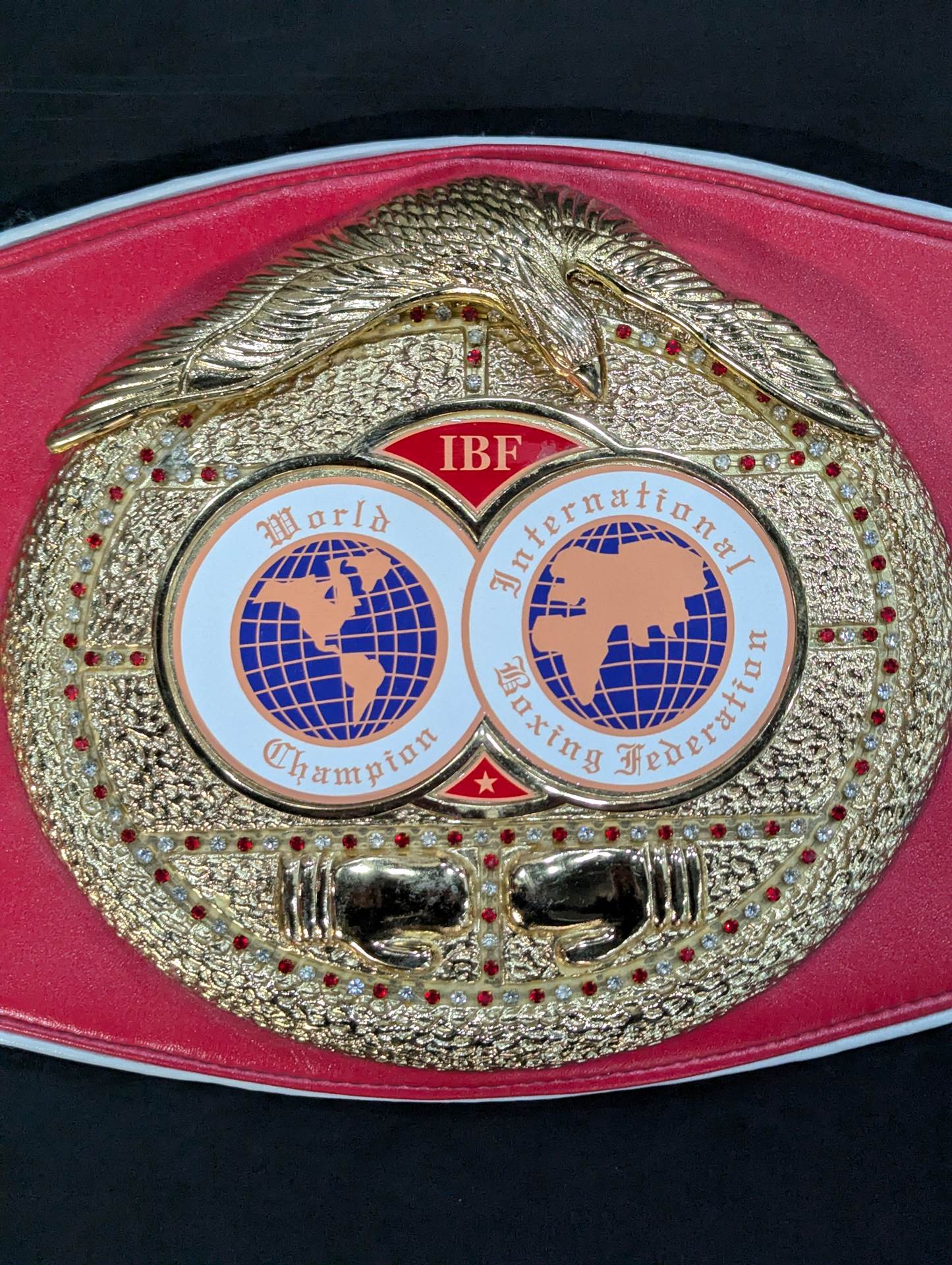 IBF世界王座チャンピオンベルト – 闘道館