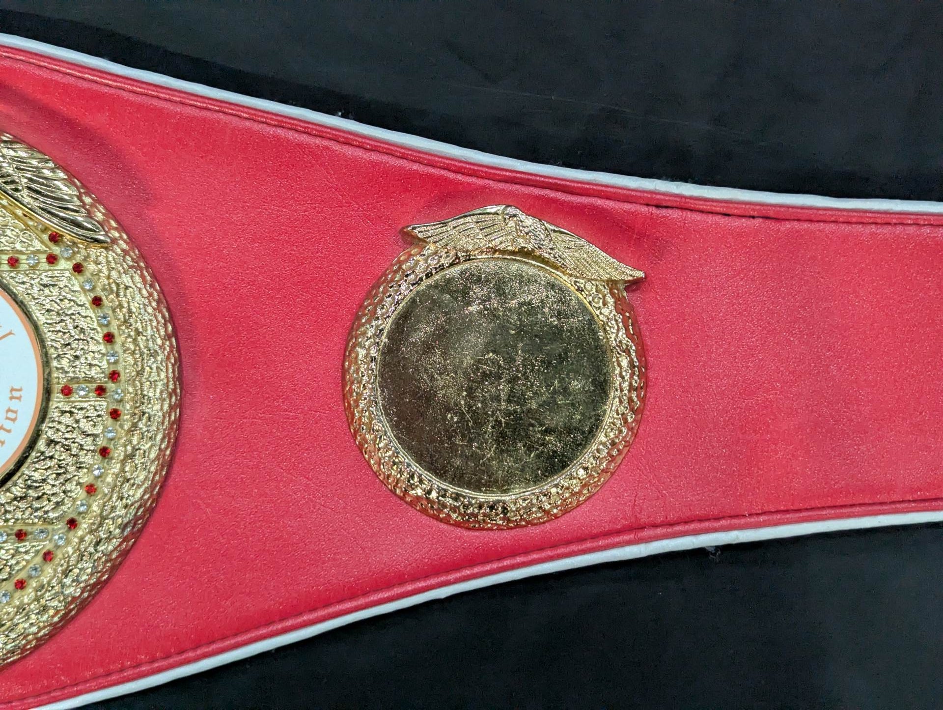 IBF世界王座チャンピオンベルト – 闘道館