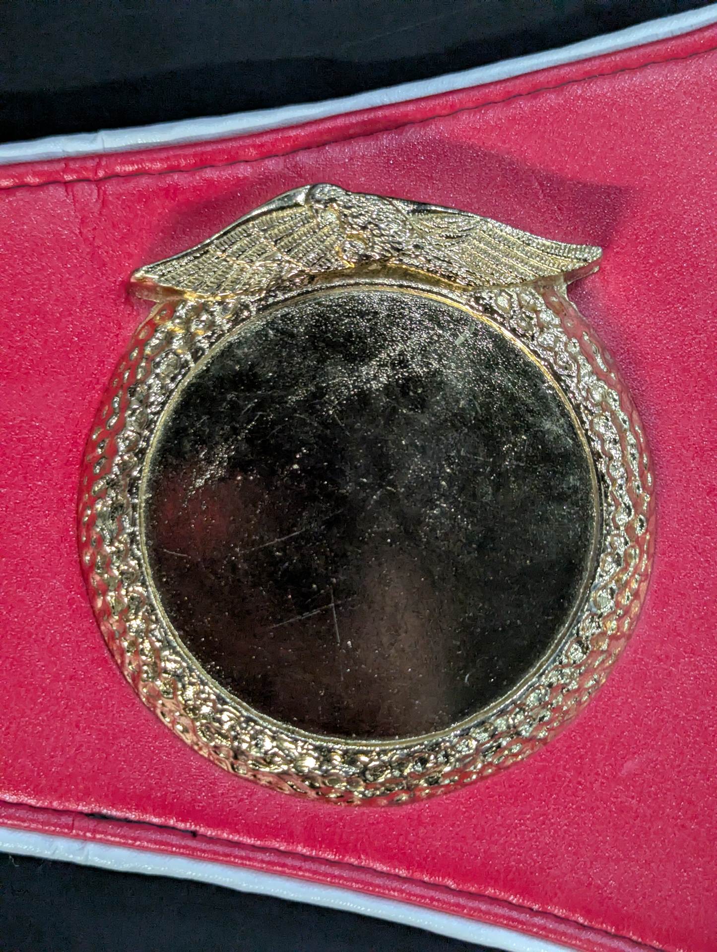 IBF世界王座チャンピオンベルト – 闘道館