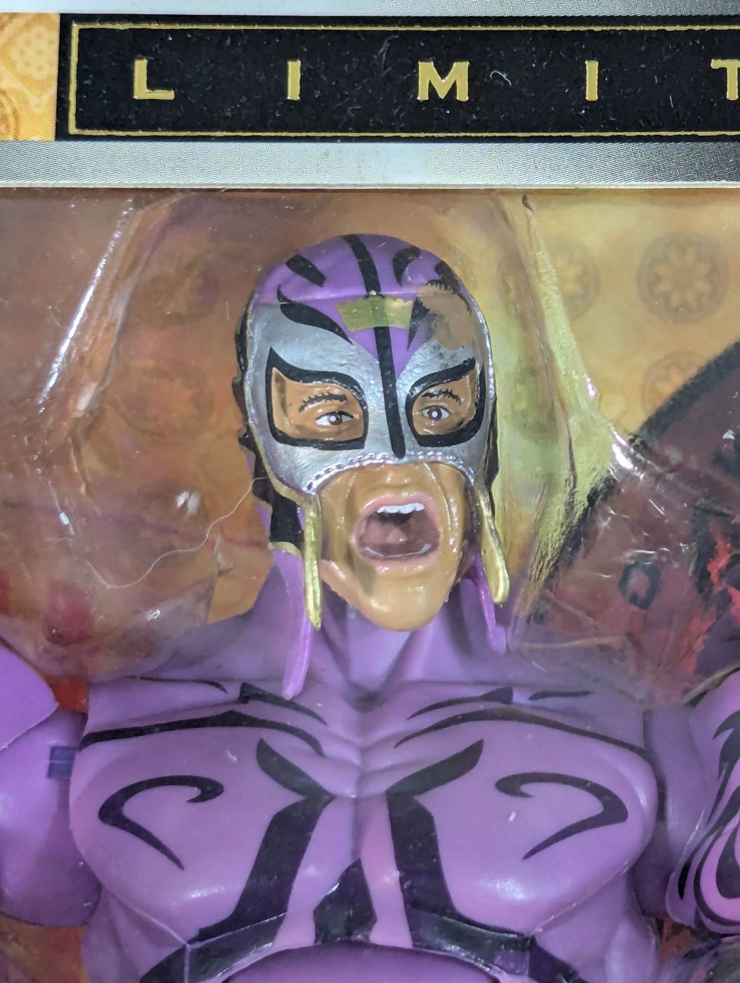 レイ・ミステリオ＆エディ・ゲレロ – 闘道館