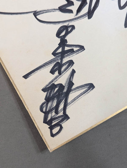 ★ Royal Road ★ All Japan Pro Wrestling 10 fighters Comments