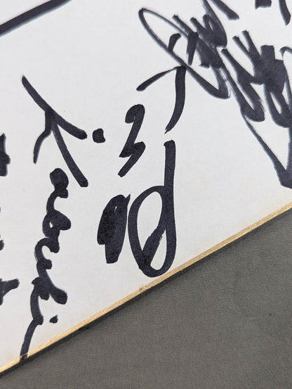 ★ Royal Road ★ All Japan Pro Wrestling 10 fighters Comments