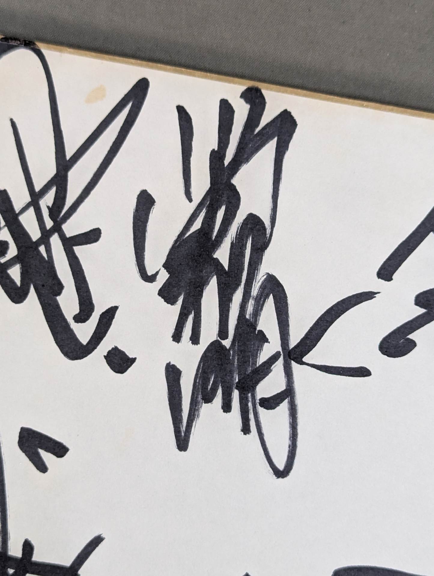 ★ Royal Road ★ All Japan Pro Wrestling 10 fighters Comments