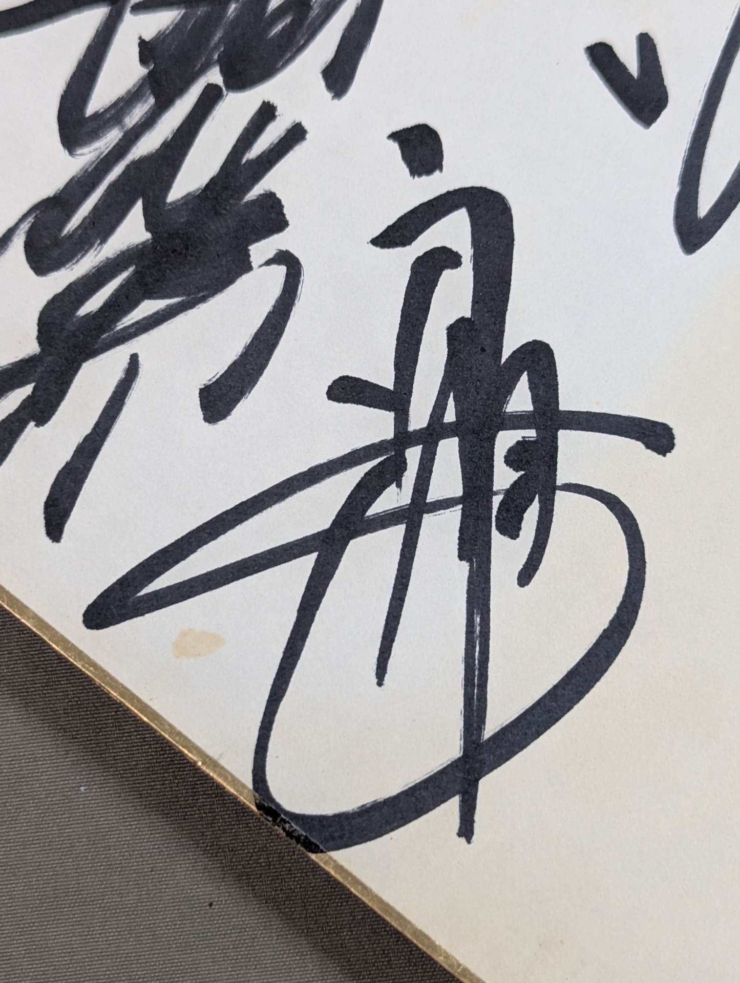 ★ Royal Road ★ All Japan Pro Wrestling 10 fighters Comments