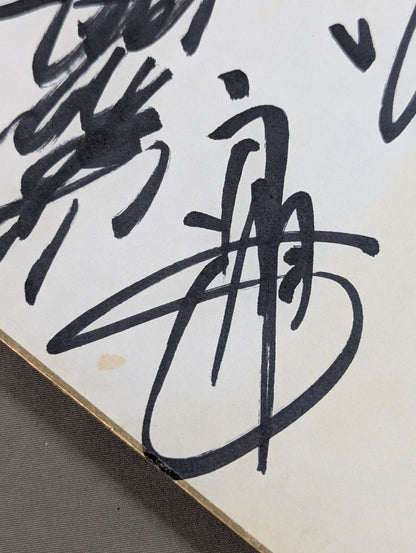 ★ Royal Road ★ All Japan Pro Wrestling 10 fighters Comments